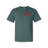 Comfort Colors Adult Heavyweight Tee Thumbnail