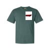 Comfort Colors Adult Heavyweight Tee Thumbnail