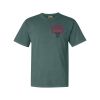 Comfort Colors Adult Heavyweight Tee Thumbnail