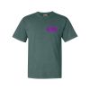 Comfort Colors Adult Heavyweight Tee Thumbnail